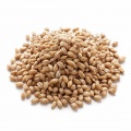 Barley grits