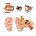 Eye and ear disorders