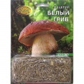 Mushroom mycelium