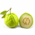 Common guava (guava)
