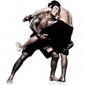 Mixed martial arts (MMA)