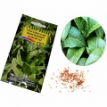 Tobacco seeds