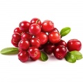 Red bilberry
