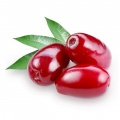 Cornelian cherry (dogwood berries)