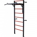 Wall-mounted ladder and horizontal bars
