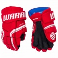 Hockey gloves