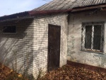 Продаю дом с садом и участком на 1 га, село Грушев, Киевская обл.