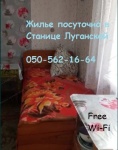 Сдам жилье посуточно в Станице Луганской