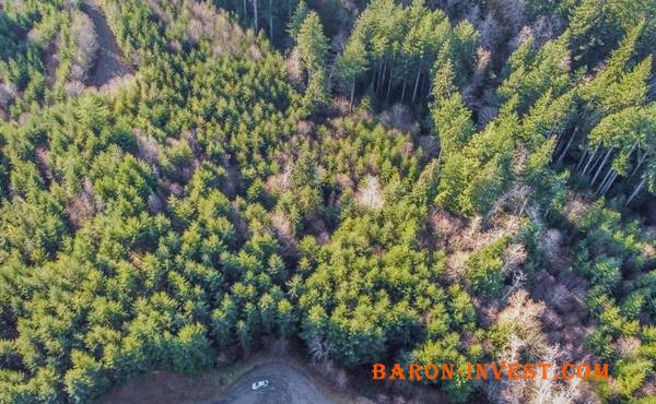 6.12 acres WA Vacant lot with beautiful views!