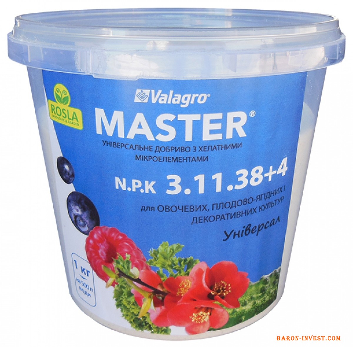 Комплексне мінеральне добриво Master (Мастер) NPK 3.11.38+4, 1 кг, Valagro, Осінь