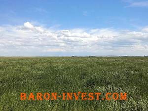 Montana: 20 acres with utilities and great mountain views