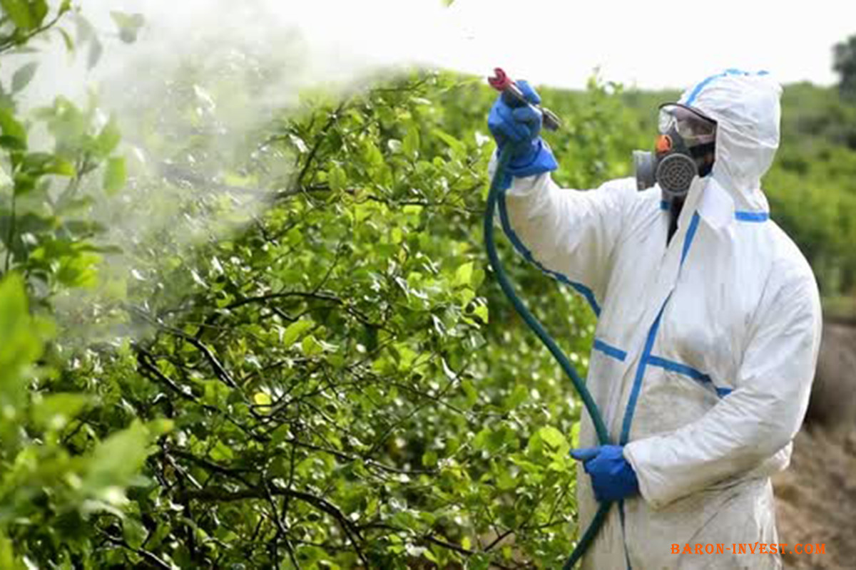 Обробка пестицидами дерев та чагарників від хвороб та шкідників