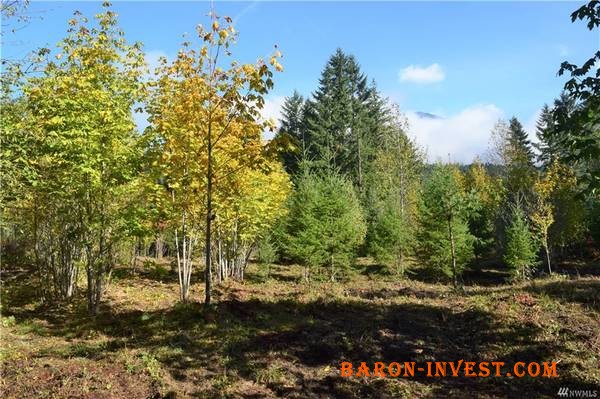 Rural property for sale in Randle, WA!