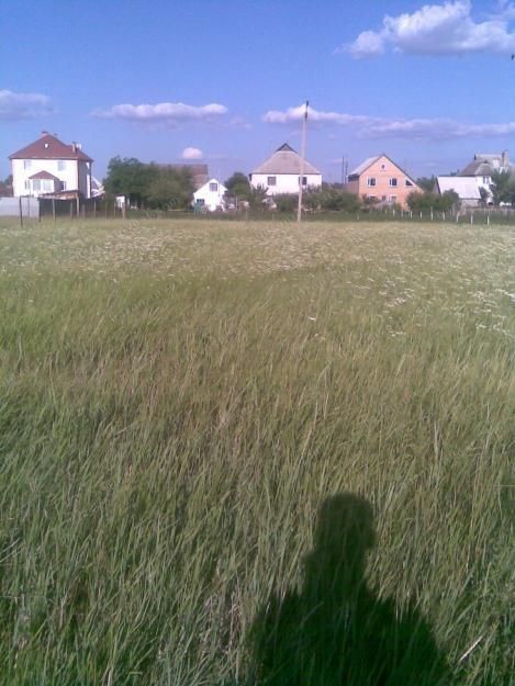 Сдам в аренду участок земли под Киевом под обработку